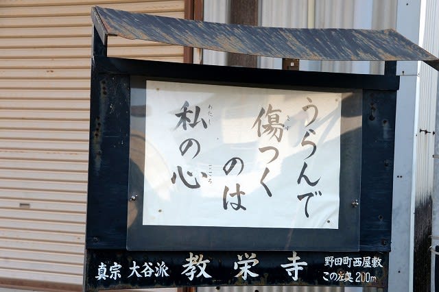 お寺の掲示板 お前も死ぬぞ 釈尊 これは岐阜県の竹林山願蓮寺のものでした ぶちょうほうのさんぽみち 旧名 気ままに野山