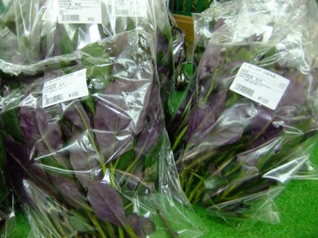 沖縄の野菜 葉裏が紫色のハンダマ 栄養満点だよ 沖縄の貸別荘 ペンション うみつばめ日記