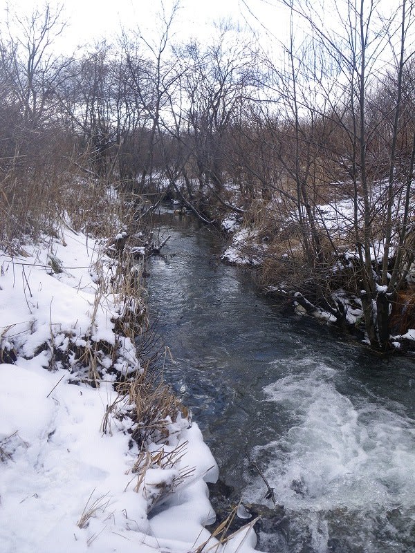 冬はココだね川 渓流in北海道