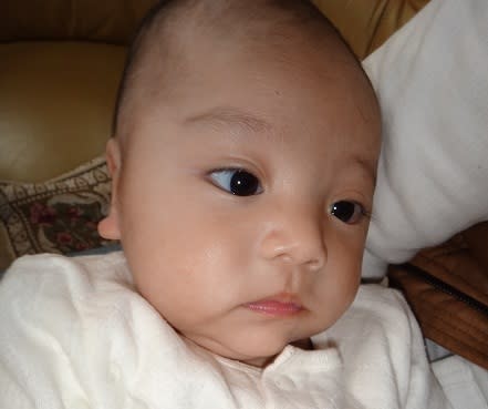 目は口ほどに物を言う 夢見るタンポポおばさん 目は口ほどに物を言う 夢見るタンポポおばさん