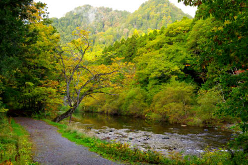 東北紅葉旅 薬研荘の朝 串カツ子の旅日記 東北紅葉旅 薬研荘の朝 串カツ子の旅日記