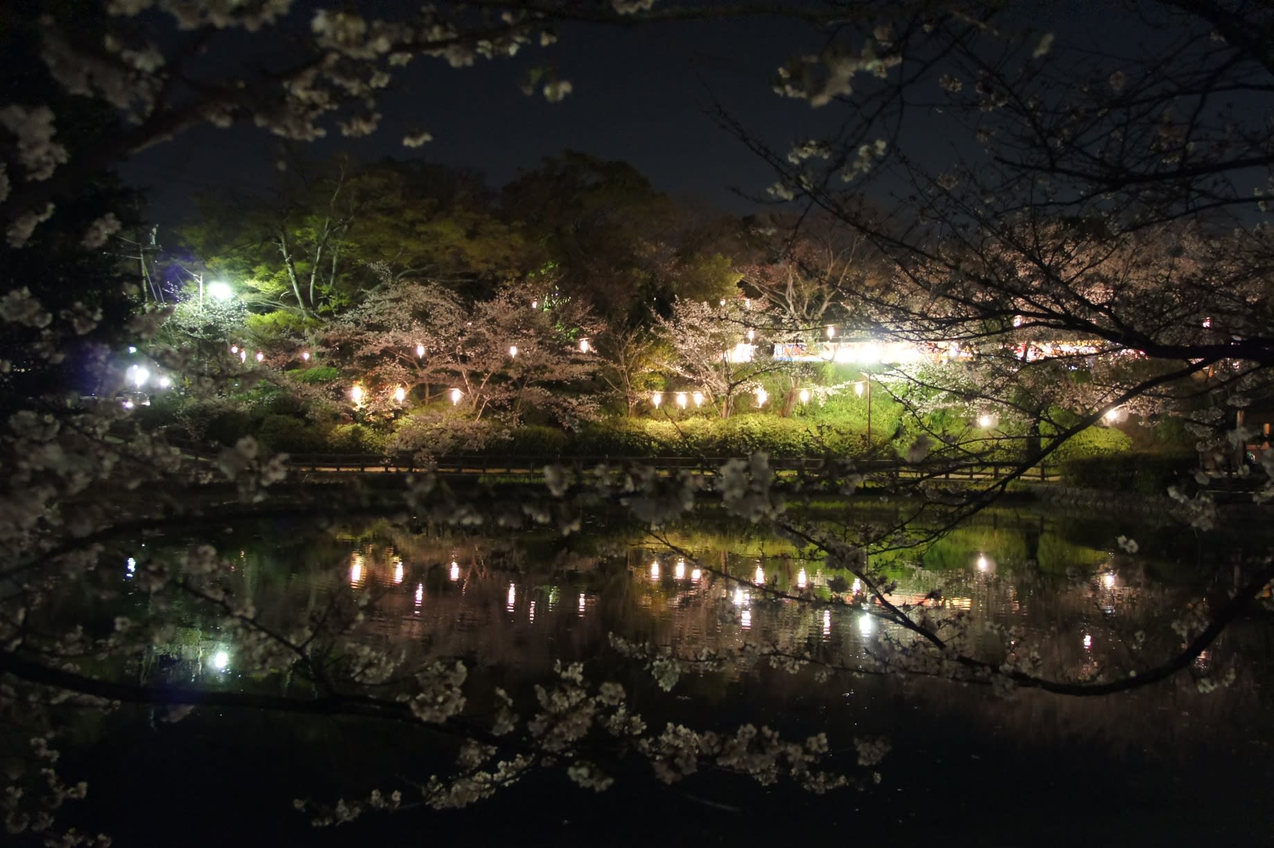 震災後初めてのウオーキングの画像