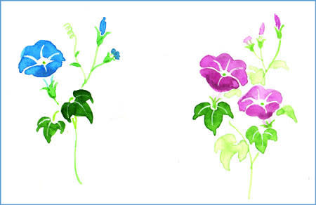 アサガオ 超カンタン 描き方 花と葉 おさんぽスケッチ にじいろアトリエ 水彩 色鉛筆イラスト スケッチ