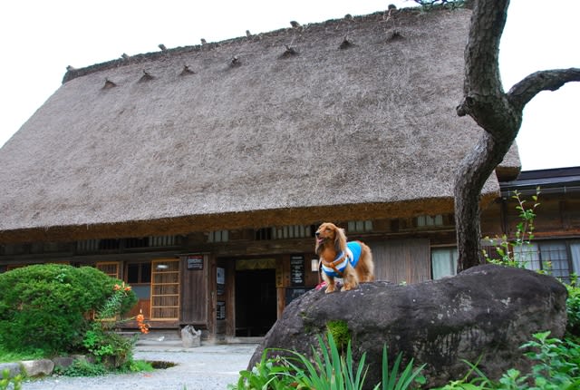 飛騨 高山旅行 世界遺産 白川郷 フォト ダイアリー