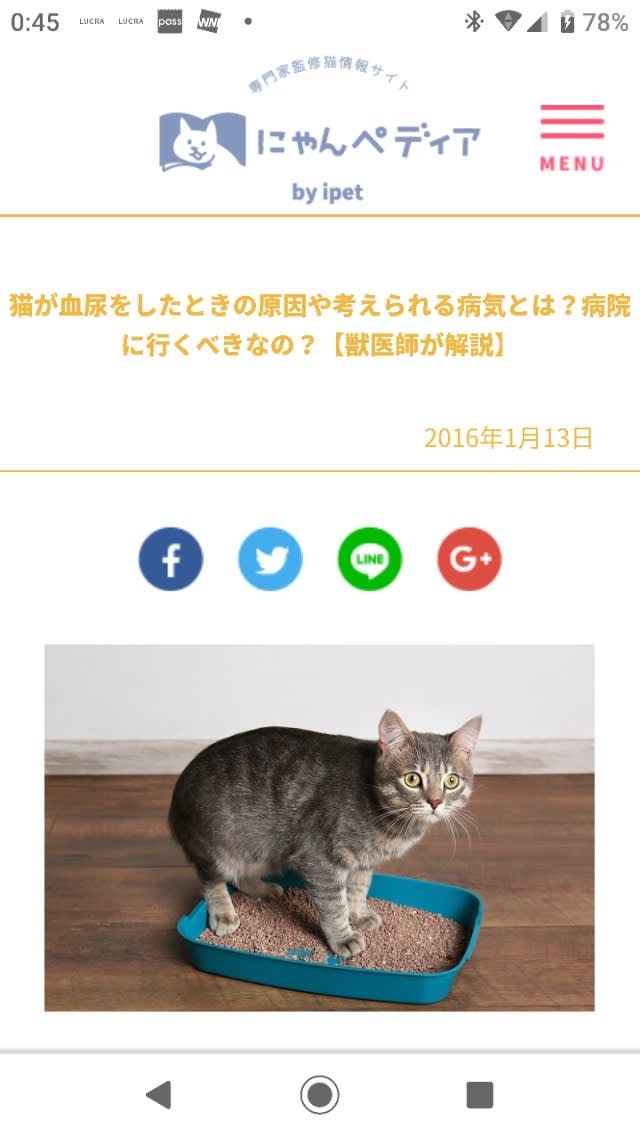 誰だろう 血尿 おからの砂がピンク 化粧品の成分おたく さえぽんの日記 17年７月化粧品成分検定１級 上級スペシャリスト認定 所得しました