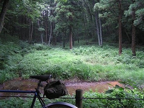 トトロの森　サイクリング