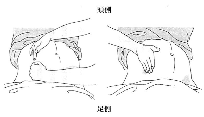 Cpr2_2 Cpr2_2