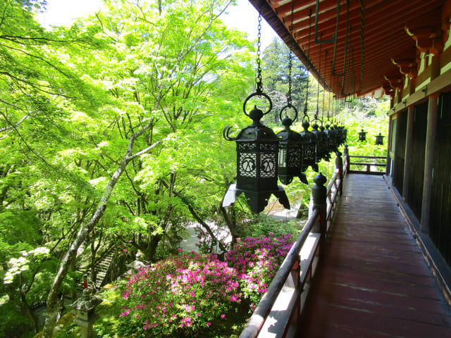 青もみじに染まる談山神社（大化の改新発祥地） - 奈良の長谷寺 旅宿 