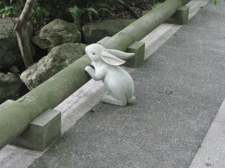 明月院のうさぎ 気ままに 明月院のうさぎ 気ままに