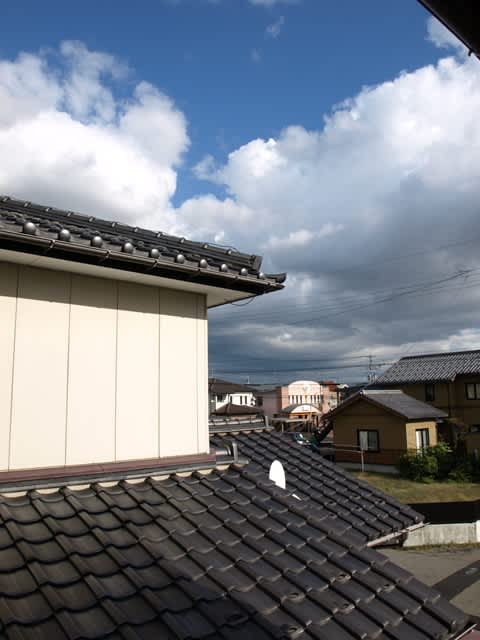 明るい空と暗い空 イタグレと暮らす戌年男のブログ 明るい空と暗い空 イタグレと暮らす戌年男のブログ