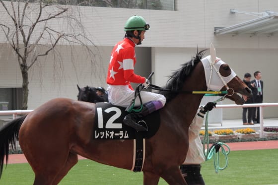 レッドオーラム