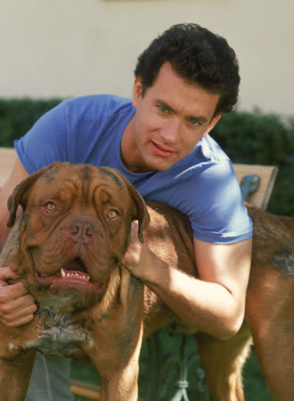 ターナー フーチ すてきな相棒 Cinemaとmovie ターナー フーチ すてきな相棒 Cinemaとmovie