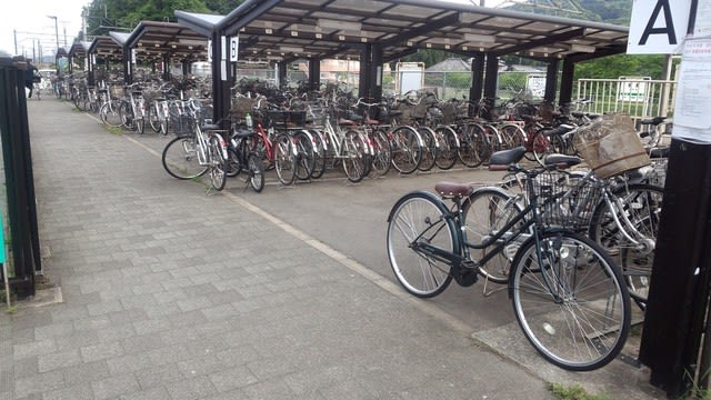 私は自転車で会社に行きます