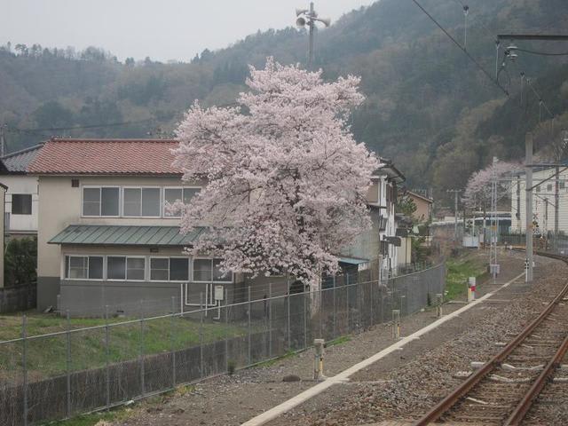 イメージ 4