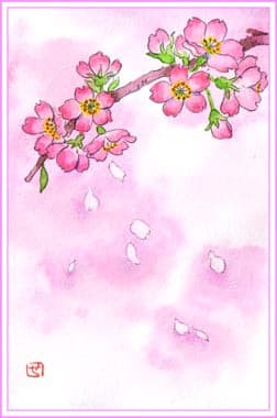 桜の花びら おさんぽスケッチ にじいろアトリエ 水彩 色鉛筆イラスト スケッチ