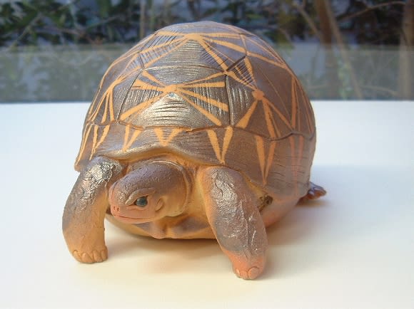 笠間焼・大崎透さん「陶の動物園」作品集 - □パンカップ店主の 笠間焼・大崎透さん「陶の動物園」作品集 - □パンカップ店主の