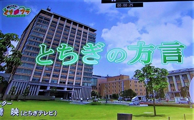 栃木の方言 のブログ記事一覧 餃子の街 宇都宮 ある菓子店のひとり言