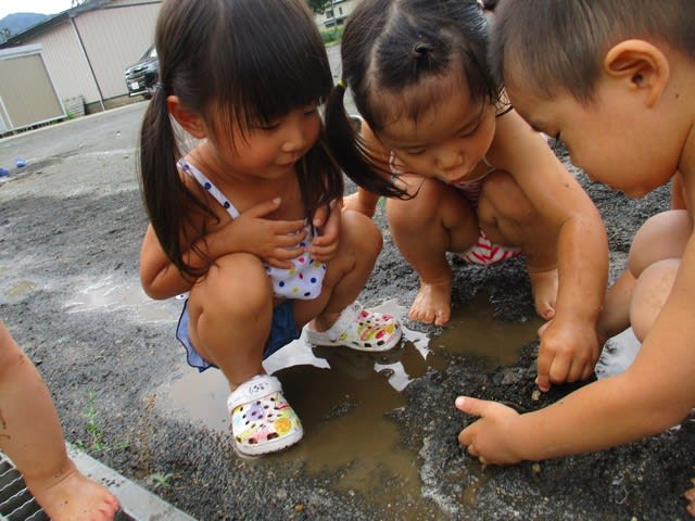 ２歳児の夏遊び 認定こども園 東雲幼稚園