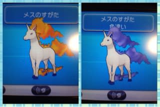 ギャロップ The Pokemon Different Colors Collection