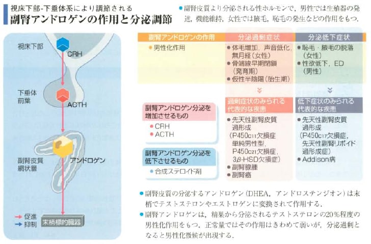 画像一覧 画像診断 初学者ブログ