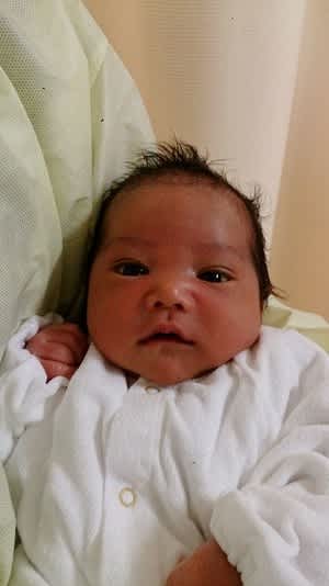 お家に 猫まんま お家に 猫まんま