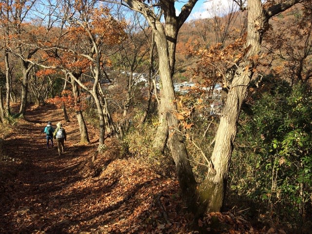 丹沢弘法山　独りぼっちのクリスマスハイキング。１ - 馬鹿も一心！