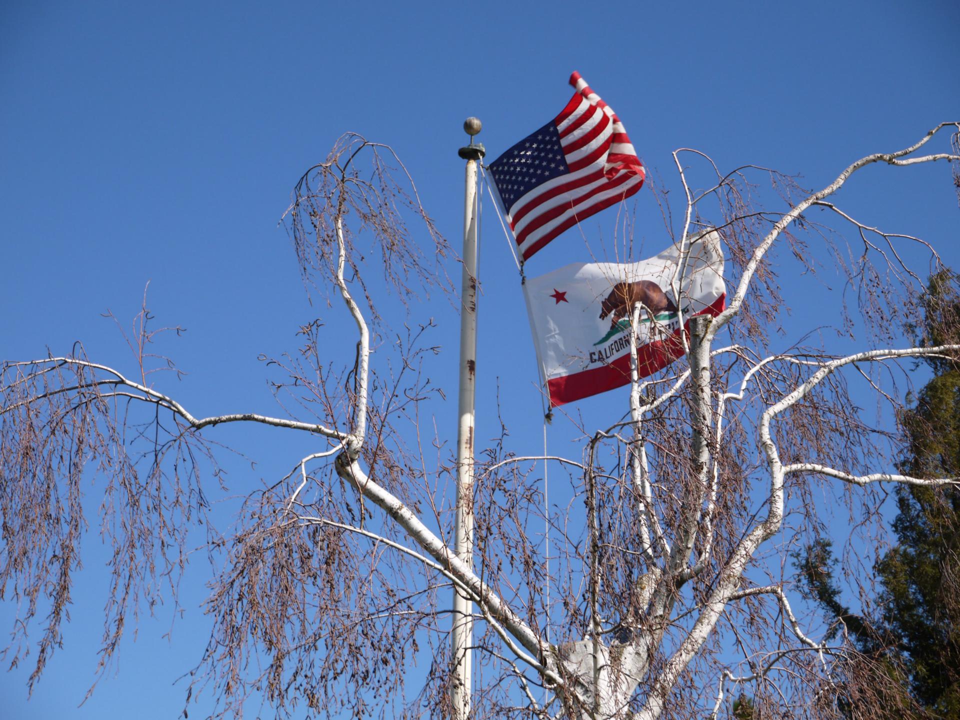 アメリカ学校生活 国旗敬礼宣誓の言葉 思いきりアメリカ ン In California Davis