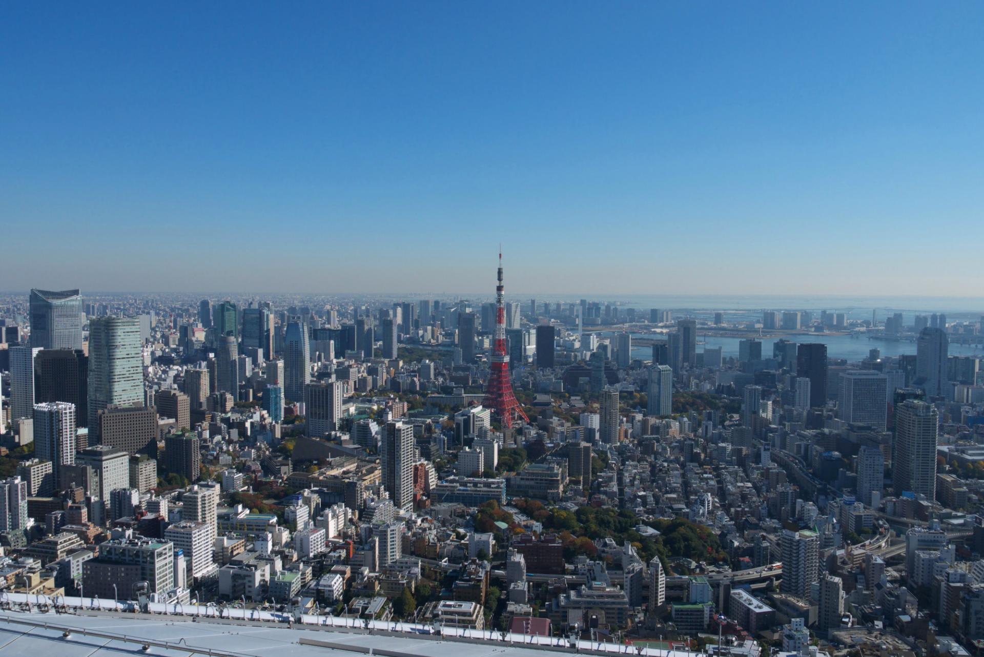 東京風景写真の壁紙 六本木ヒルズ フジテレビ本社ビル 東京スカイツリー 緑には 東京しかない