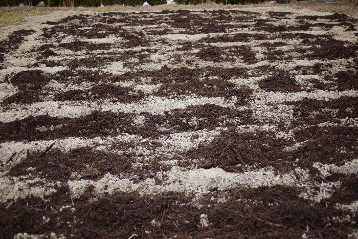 牛糞堆肥を畑に散布すること - 団塊Ｇの気ままな野菜作りと写真日誌