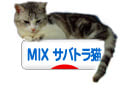 にほんブログ村 猫ブログ MIXサバトラ猫へ