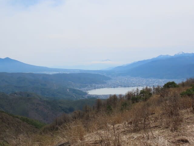 高ボッチ高原から見た富士山