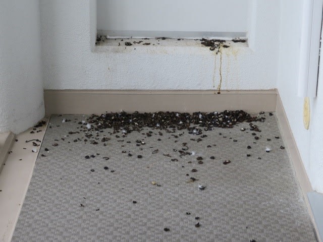 ベランダにフンが はと対策 ８丁目のみっちゃん