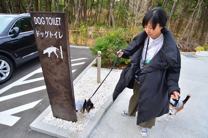 犬と千葉旅行 館山 鴨川 勝浦 に行ってきました お宿編 Crea Cafe