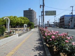 ばら公園