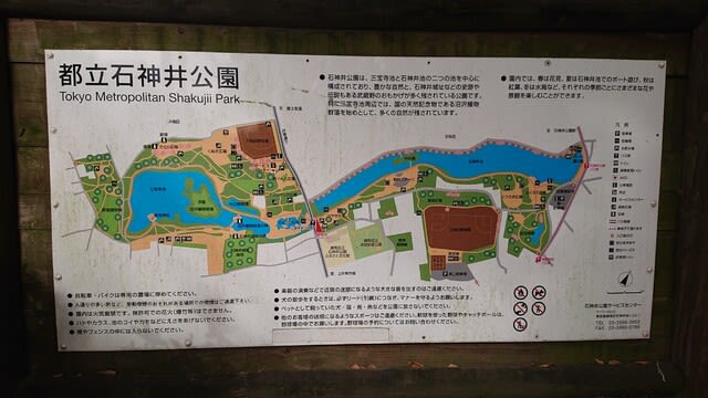 石神井公園 東京 練馬区 散策はとてもオススメ いいね おいしいね