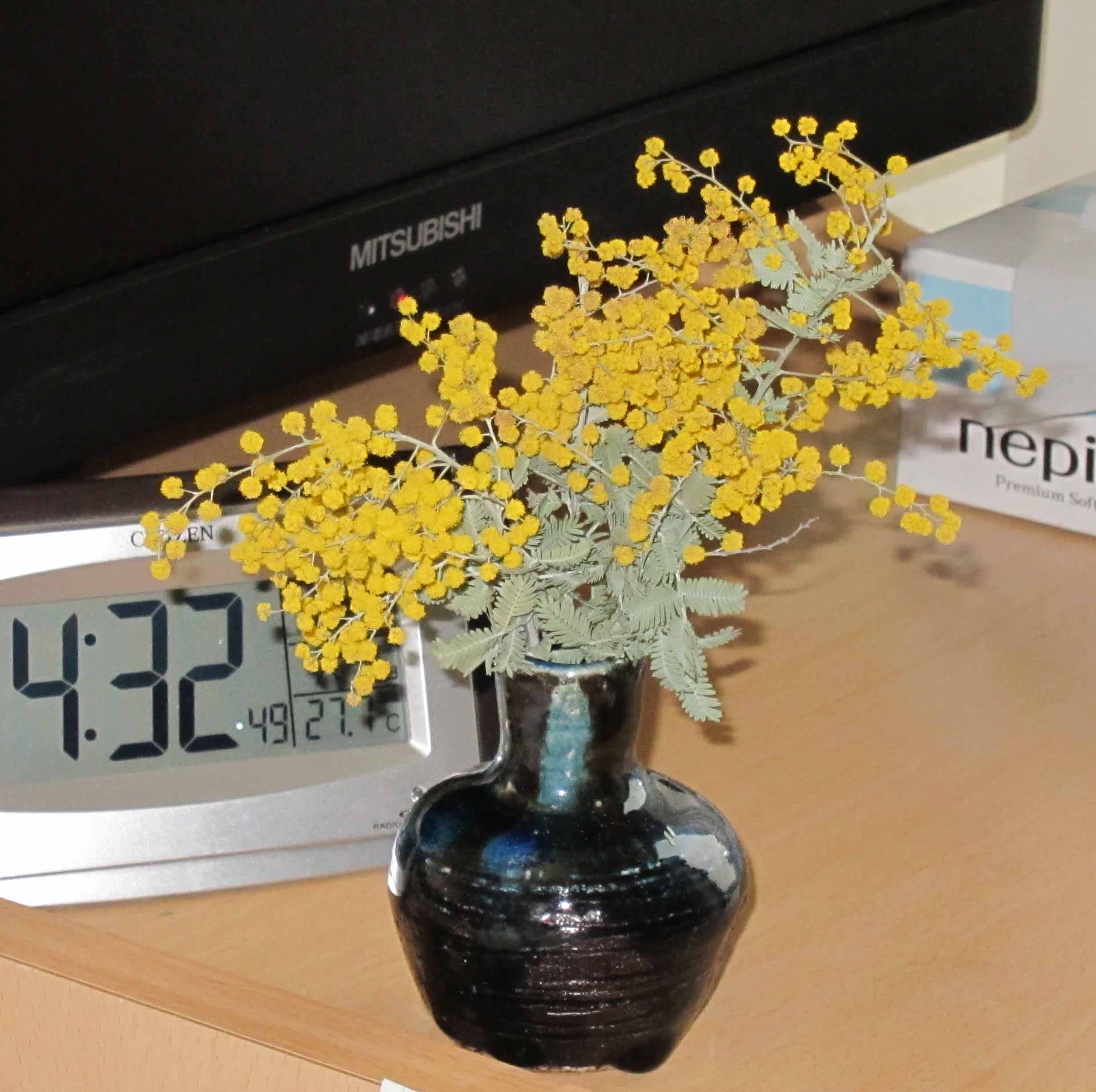 ミモザの花 南飛騨からこんにちは ミモザの花 南飛騨からこんにちは