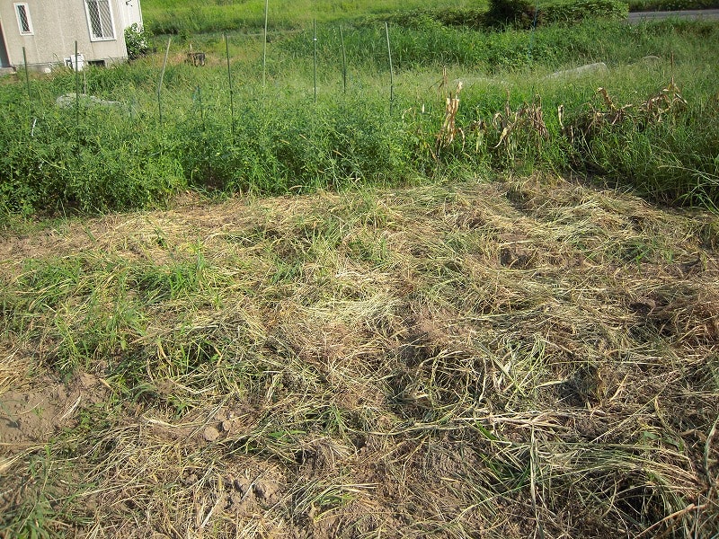 夏の暑さに負けず 雑草を堆肥にしよう 身近なところから環境を考えよう ダンボールコンポストのすすめ Npo法人仕事工房ポポロ