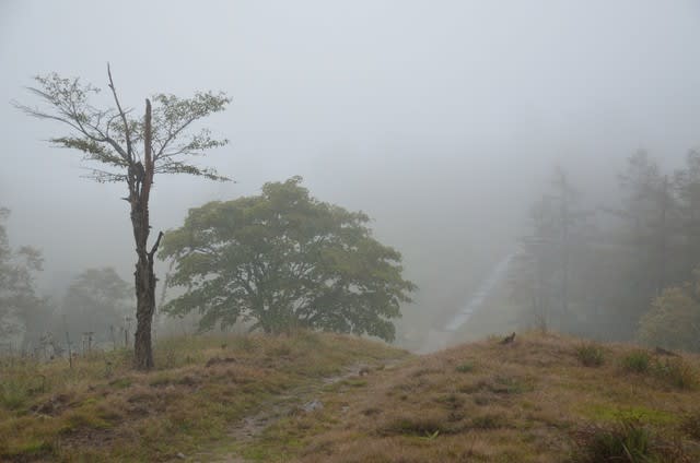 奥秩父 登山 奥秩父 登山