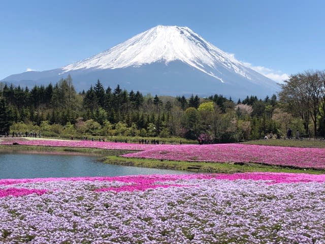 ごんおばちゃまの暮らし方