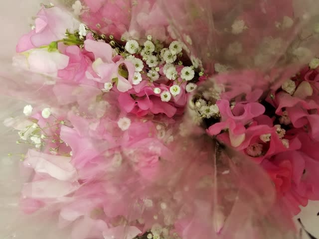 ４月１１日 明日の誕生花 ゆかりの花 花言葉は O 海の街のお花屋さん 愛知県 知多半島 南知多町 内海 豊浜 内海生花 花大の日記