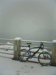 雪中ライド 狭山湖堰堤