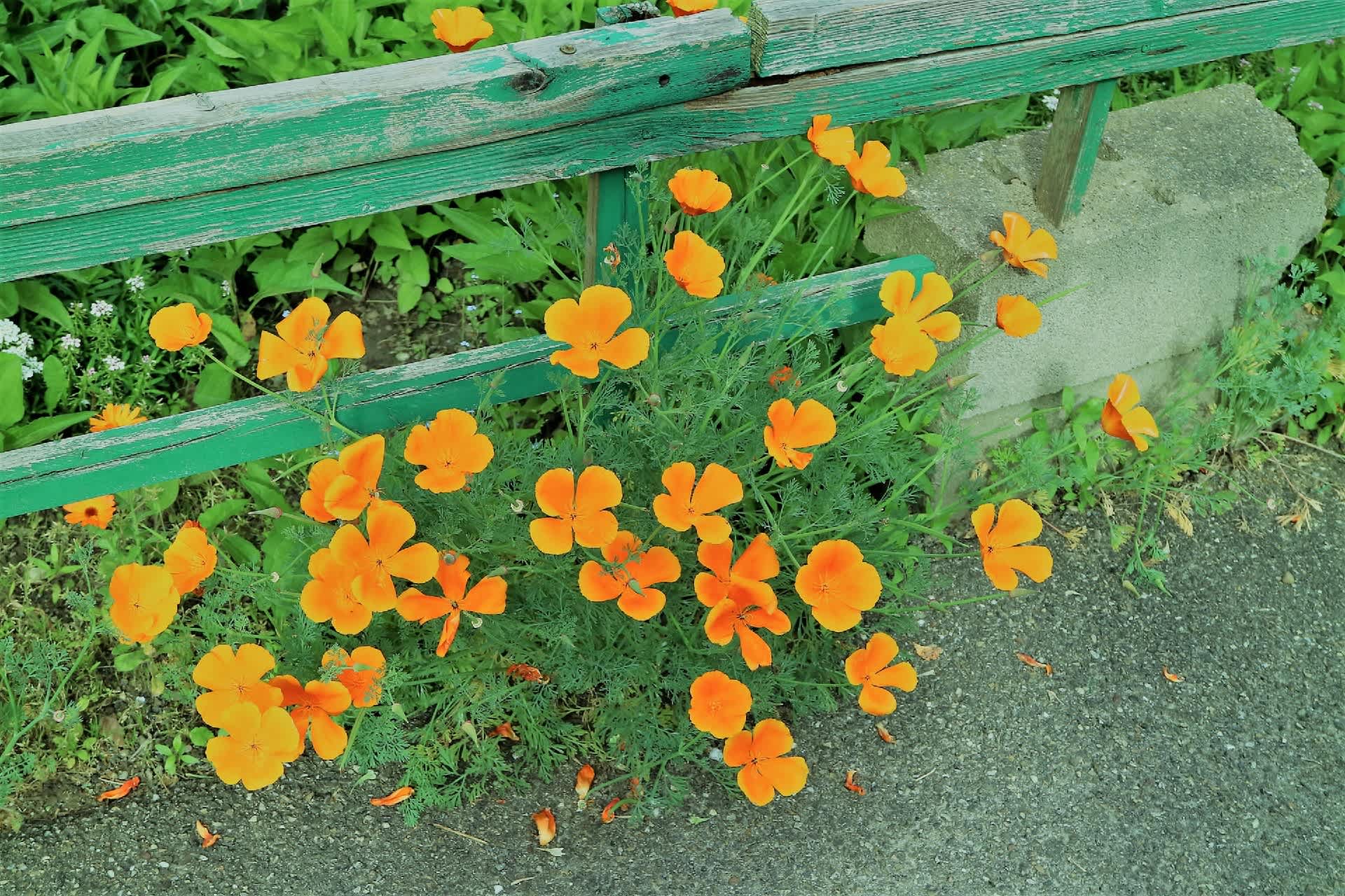 負けるわけにはいかない勝利なき戦い あるいは誤った比喩の迷妄 内的自己対話 川の畔のささめごと