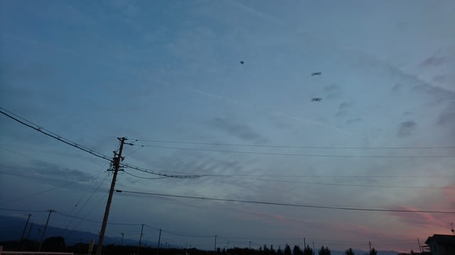 https://blogimg.goo.ne.jp/user_image/37/d1/c2319d3de1fcbccd494e09c939e1b9ae.jpg