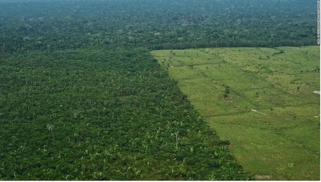 アマゾンの森林破壊 毎秒 サッカー場1 5個の森林がなくなっている It技術とその周辺