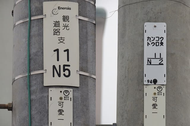 観光道路標示の電柱番号札 はつかいち ぶらり 観光道路標示の電柱番号札 はつかいち ぶらり