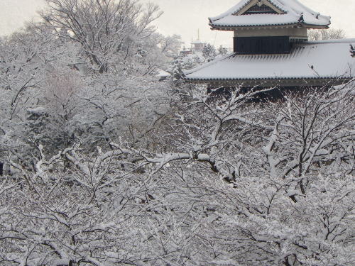 松本城　2011/2/15