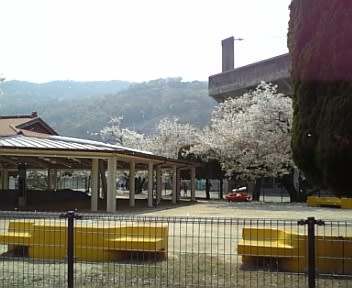 イメージ 5