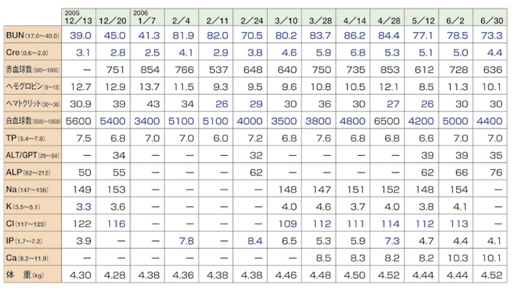 血液検査 Bun Cre下がる ぽん ぽん ポンちゃん 血液検査 Bun Cre下がる ぽん ぽん ポンちゃん