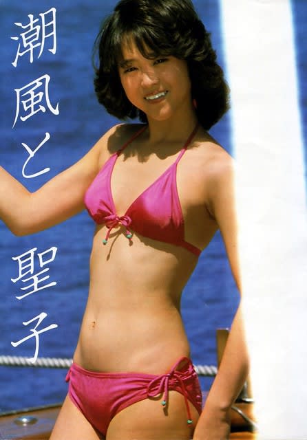 のりたまのポコンとしたお腹 セイシェルの夕陽 ルンバパパの妄想暴走松田聖子妄想ブログ