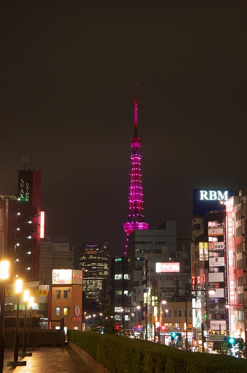 ピンクリボン東京タワー 2014 - 初心者の写真+